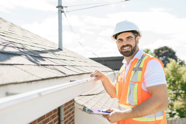 Roof Gutter Cleaning in Algonquin, IL