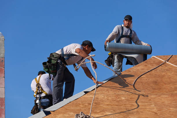Best Gutter Installation and Roofing  in Algonquin, IL