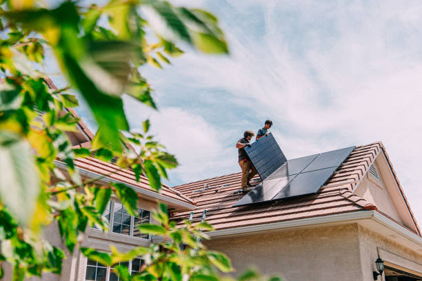 Best Flat Roof Repair Services  in Algonquin, IL