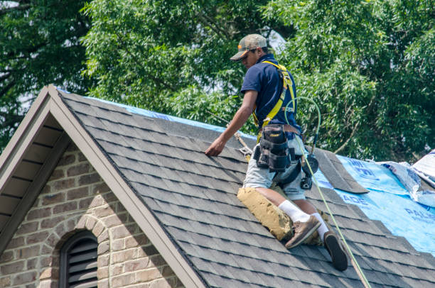 Quick and Trustworthy Emergency Roof Repair Services in Algonquin, IL